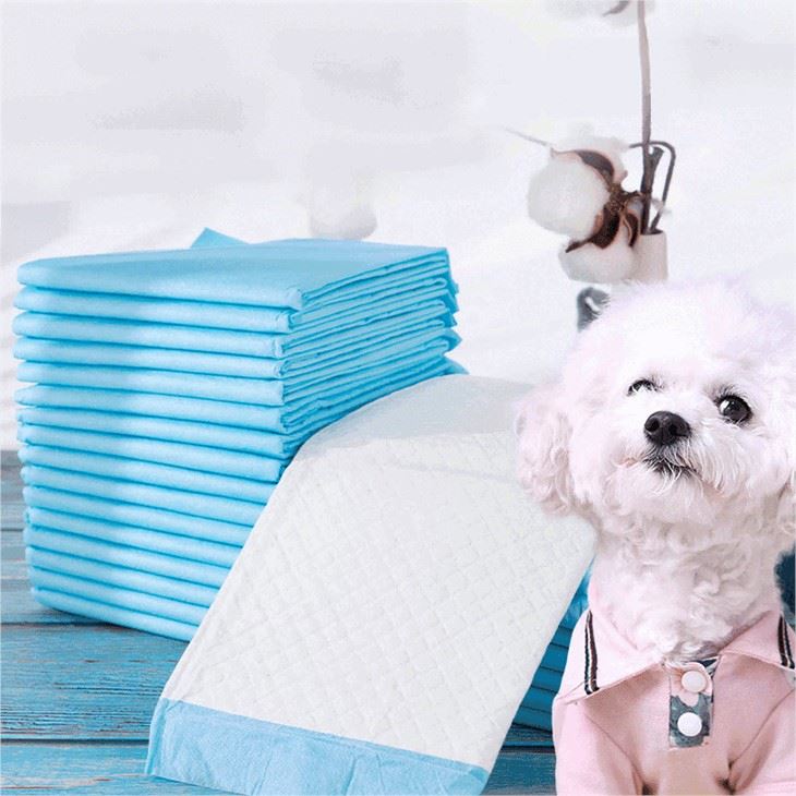 Pet Pee Pad