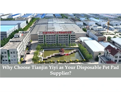 Γιατί να επιλέξετε την Tianjin Yiyi ως προμηθευτή μαξιλαριών για κατοικίδια μ...
