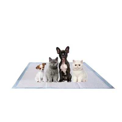 PCR Φιλικό Φιλικό Κουτάβι Εκπαίδευση Pad