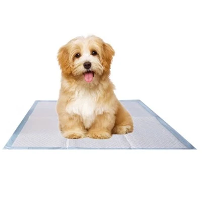 Tianjin Yiyi Μηχανικό αντιβακτηριακό Pet Potty Pad